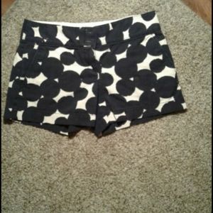 Ann Taylor Loft Shorts